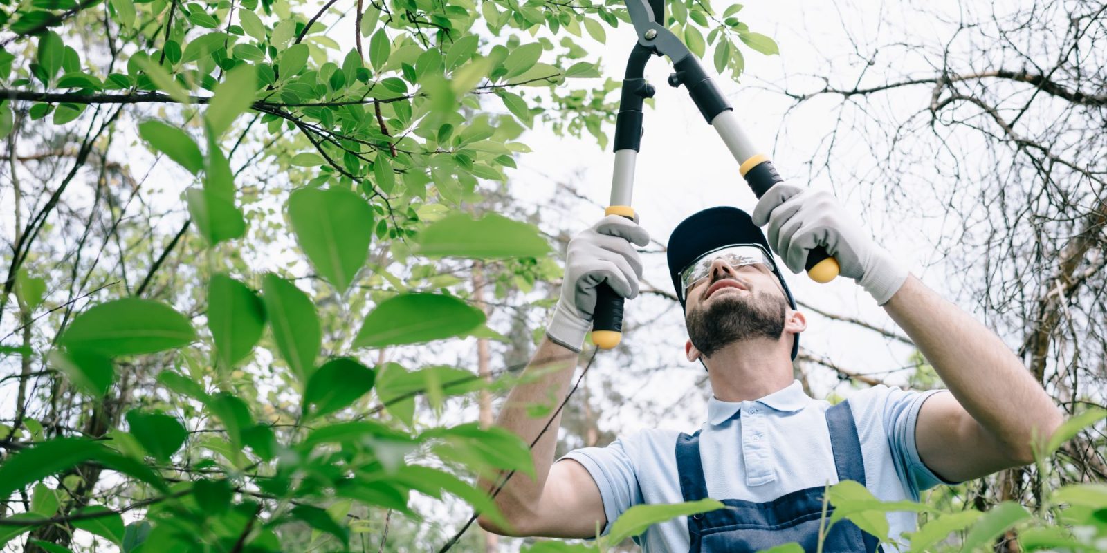 selective-focus-of-gardener-in-protective-glasses-jrfetn4